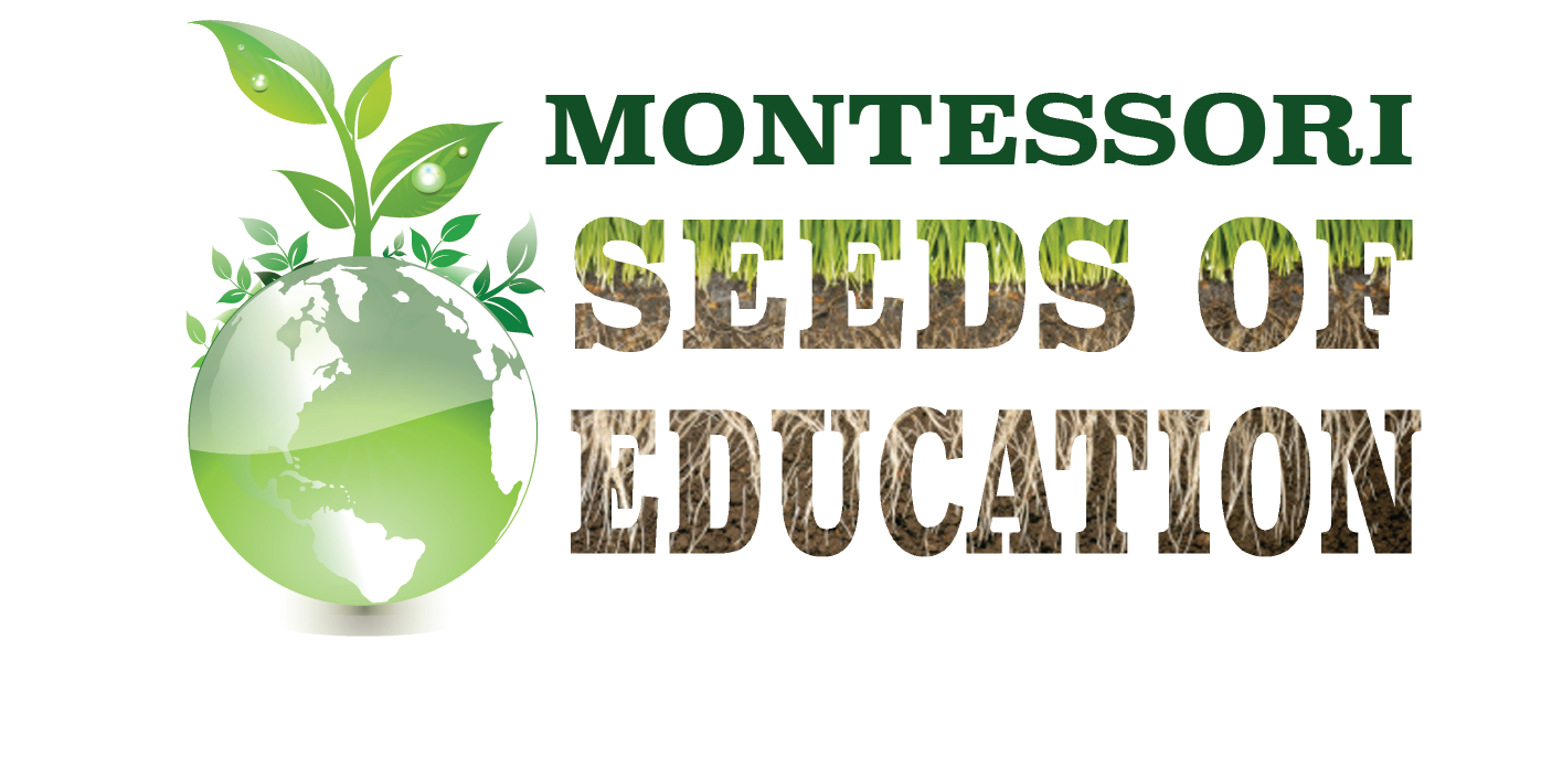 About Matt - Montessori Seeds of Education